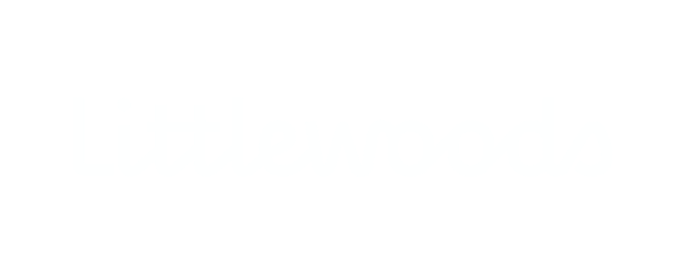 Littlewoods | Future Proof Media